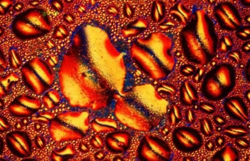 Алкоголь под микроскопом, цветные фото