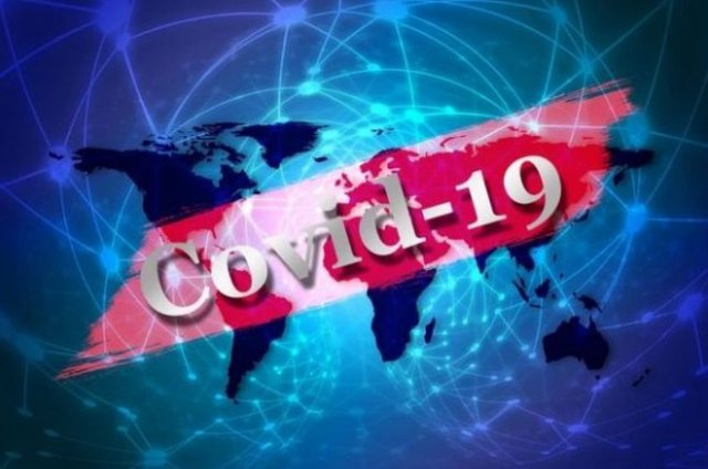Последние данные по пандемии коронавируса