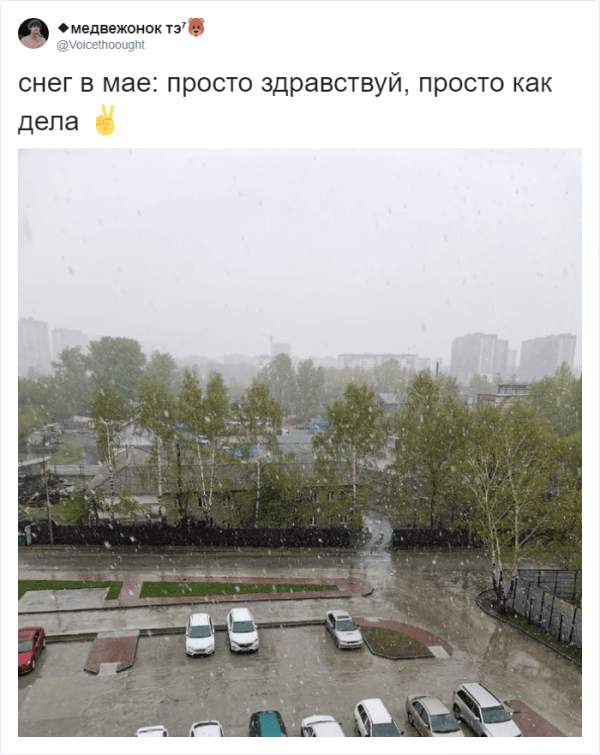 В России внезапно выпал снег: реакция соцсетей