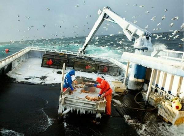 Рабочие будни краболовов в северных морях