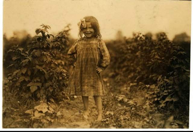 Лора Петти, 6-летняя сборщица ягод на ферме Дженкинс, Рок Крик вблизи Балтимора, штат Мэриленд, 1909 год.