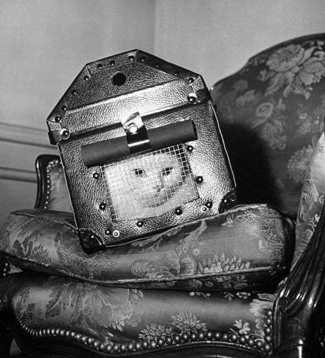 Контейнер из сверхпрочной стали для безопасной транспортировки кошек во время бомбёжек, Англия, 1941 год.