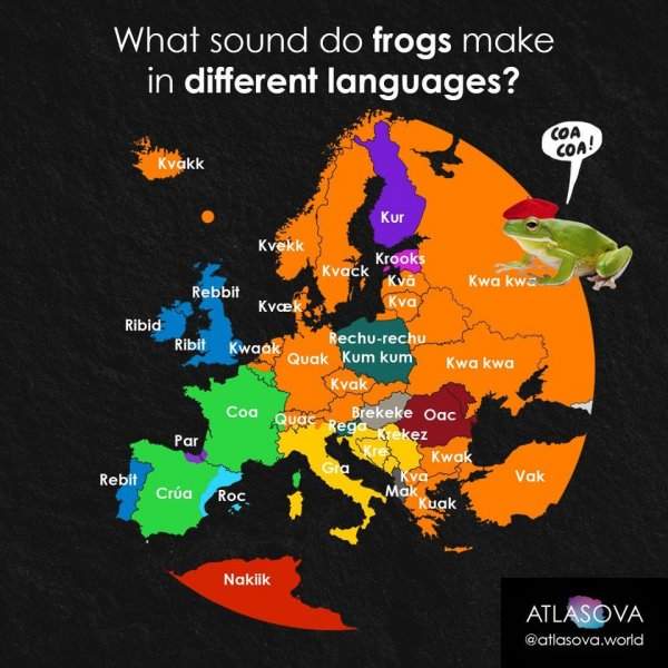 Какие звуки издают лягушки на разных языках