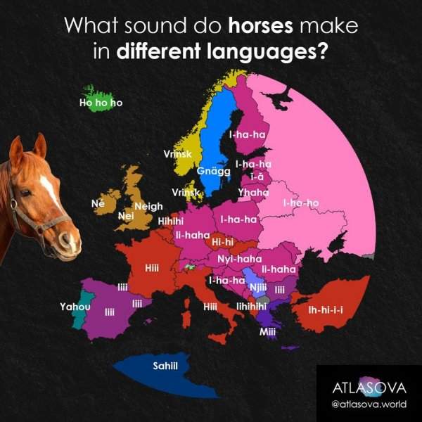 Как звучит лошадиное ржание на разных языках