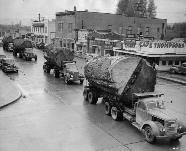 Грузовики с брёвнами в Норт-Бенд, округ Кинг, штат Вашингтон, 1943 год.