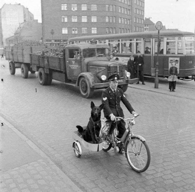 Сержaнт полиции Гамбурга Эрнст Мюллер и его собака едут на вызов, Германия, 1955 год.