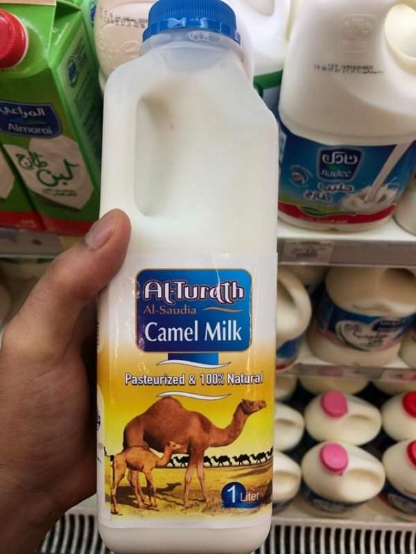 В супермаркетах Саудовской Аравии продаётся верблюжье молоко