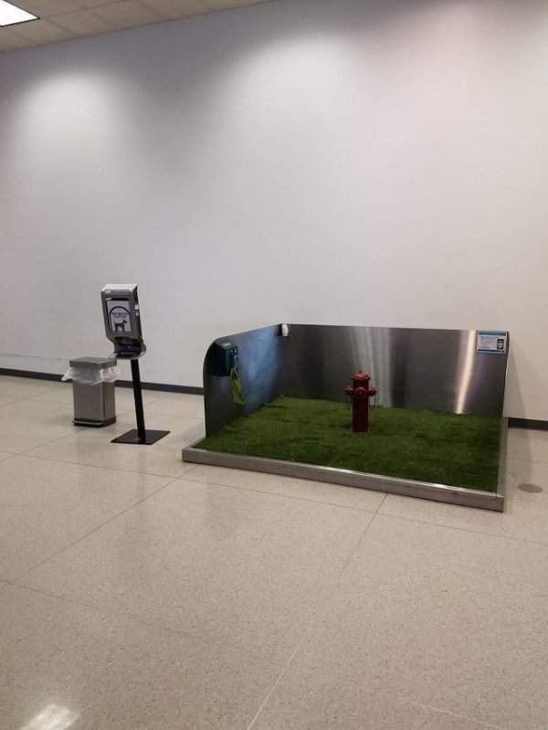 В этом аэропорту есть небольшой участок травы и пожарный гидрант, где собаки могут воспользоваться туалетом