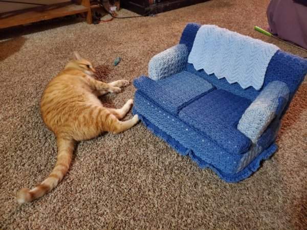Моя тётя связала диванчик для своего кота