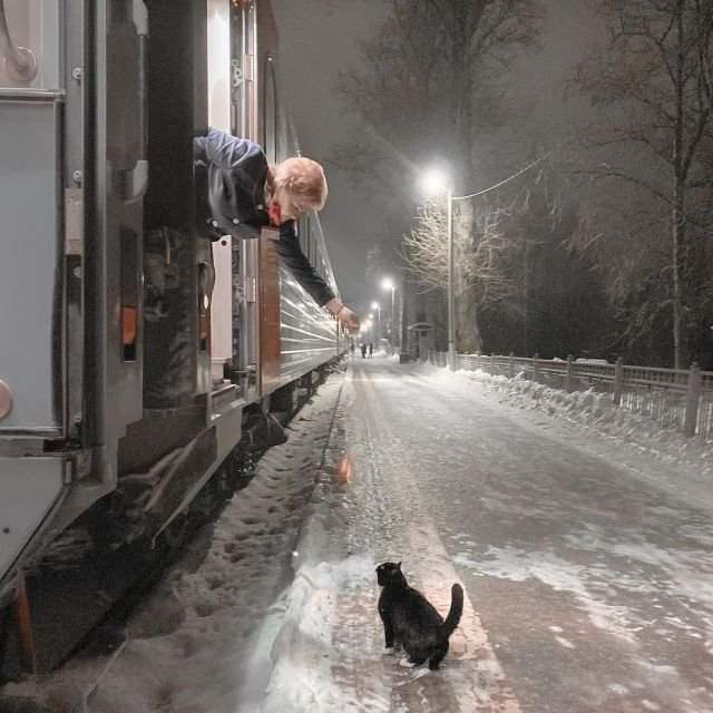 Проводница поезда Псков-Москва кормит кота Феликса во время короткой остановки на Старой Руссе