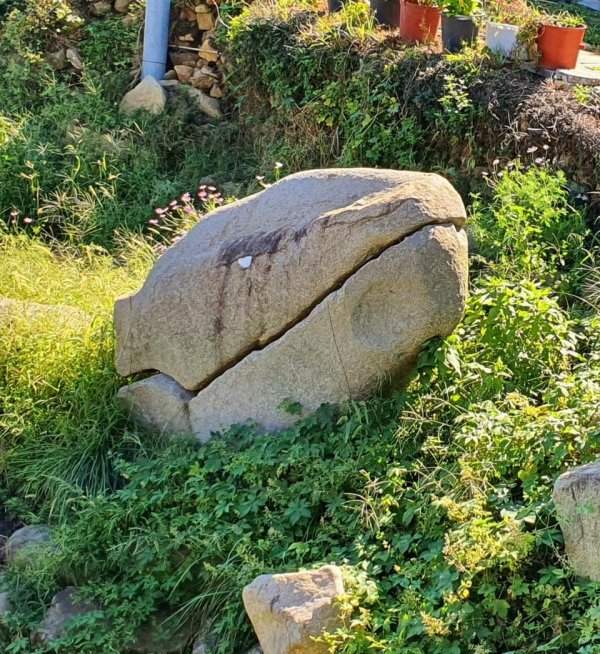 Камень в форме головы динозавра