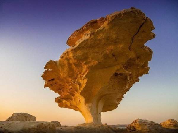 То ли скала, то ли гигантское каменное дерево, Египет