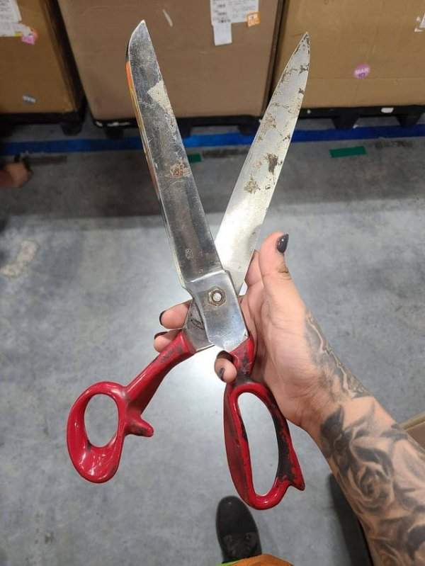 «Попросил на работе ножницы, чтобы что-то отрезать, и мой начальник дал мне вот эти»