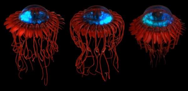 Atolla — разновидность глубоководной кроновой медузы