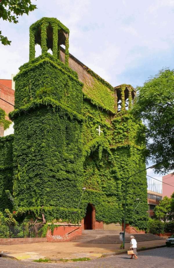 Зелёная церковь, Аргентина