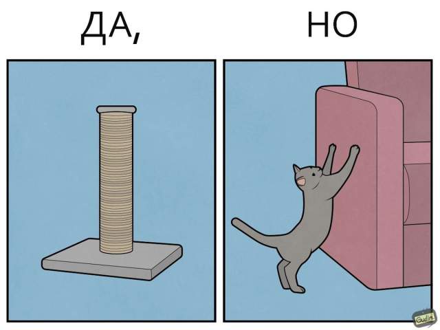 &quot;Да, но...&quot;: саркастичные иллюстрации про котиков от художника Антона Гудима