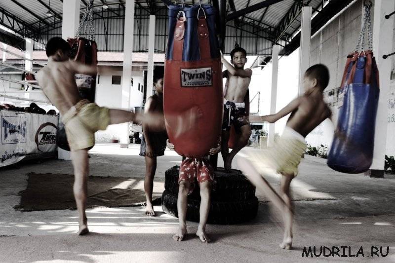 Прикольные фото,Муэй Таи, тайский бокс) 
