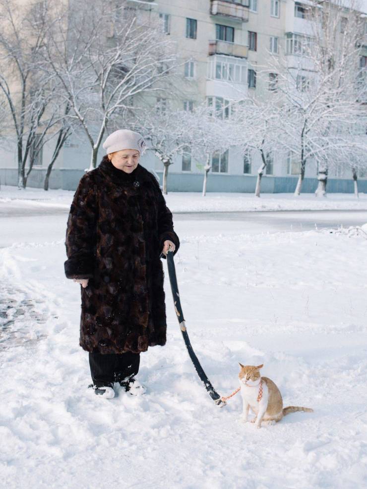 Выгул кота на поводке