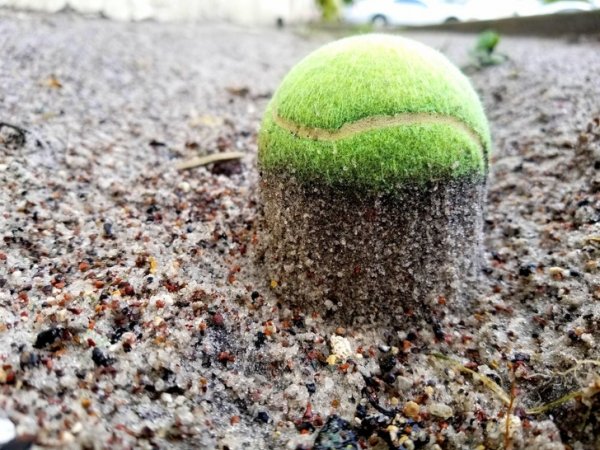 Теннисный мяч в песке