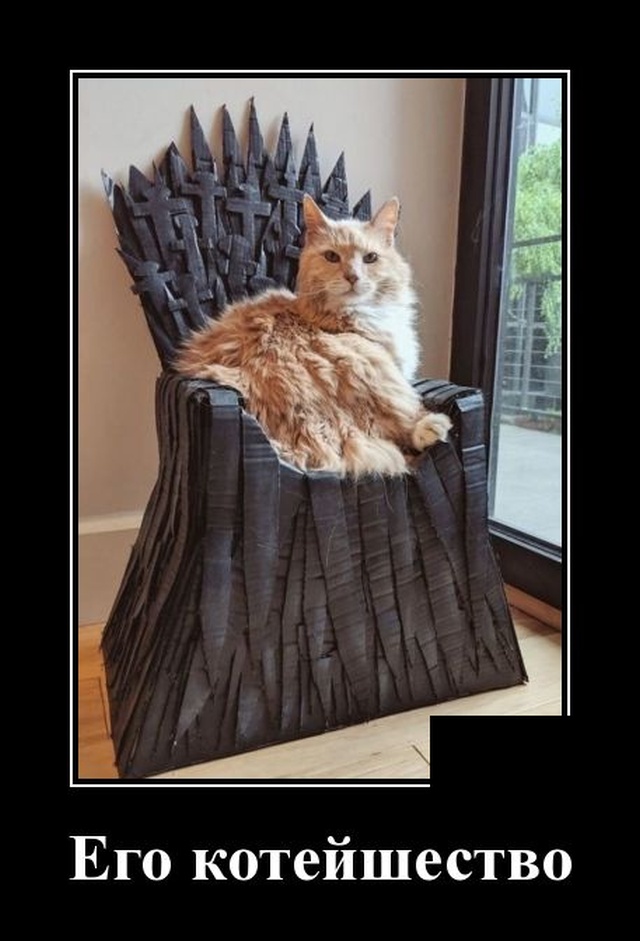 Демотиватор про кота на троне