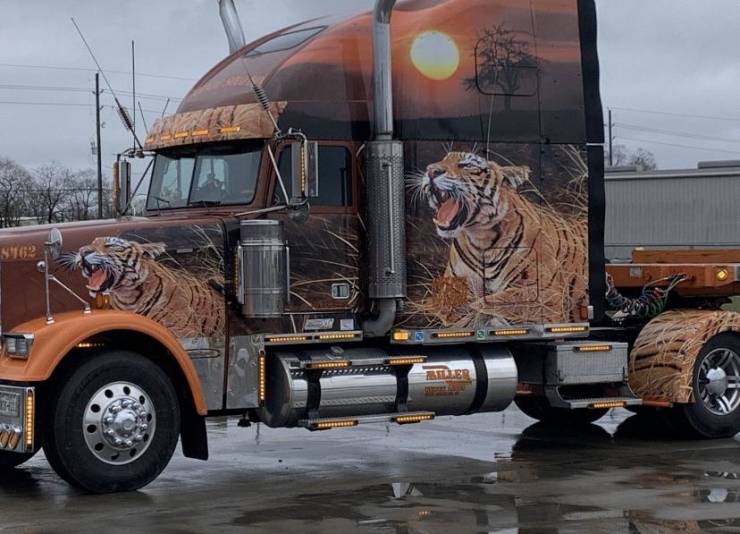 Аэрография тигр на грузовике