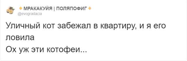 Тред в Твиттере: самые нелепые отмазки за опоздание