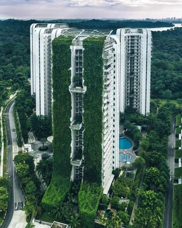 Зеленые дома в Сингапуре