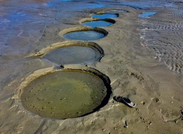 После добычи моллюсков остаются такие кратеры