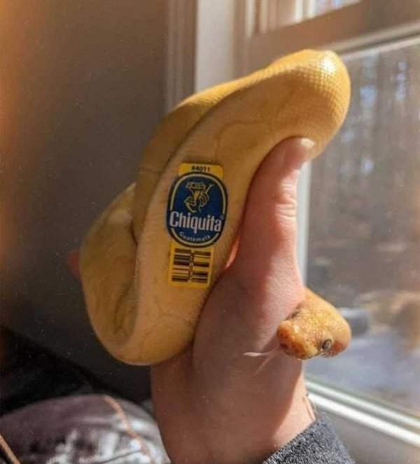 Жутковатый банан