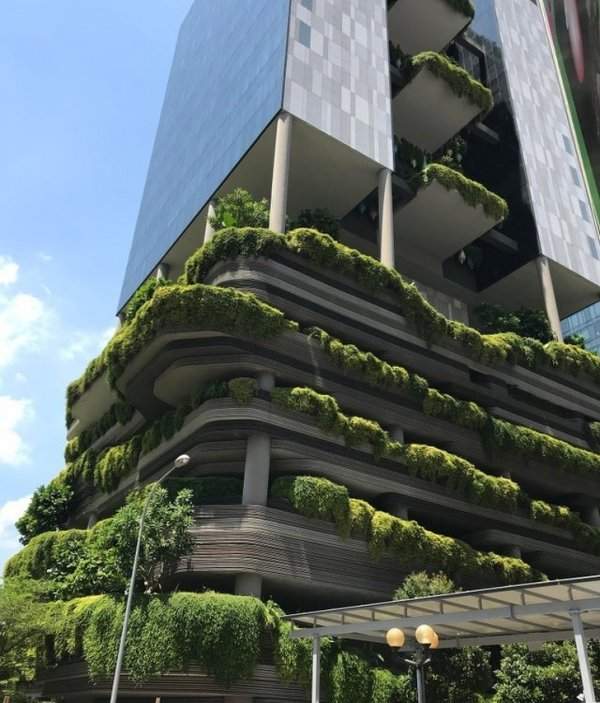 &quot;Зеленый&quot; отель в Сингапуре