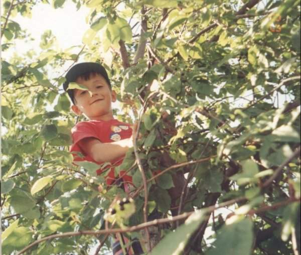 Ребенок на дереве