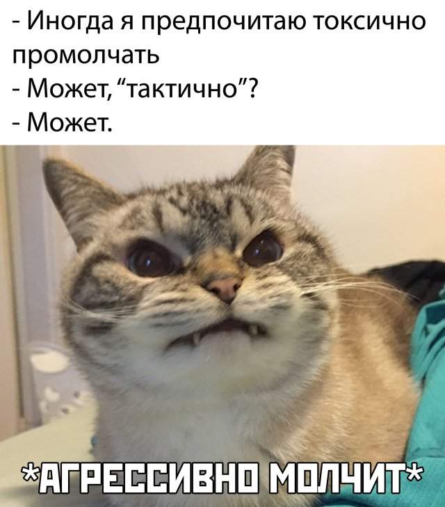 Смешные фото вечерний выпуск 6 мая 2020 Смешные фото вечерний выпуск 6 мая 2020