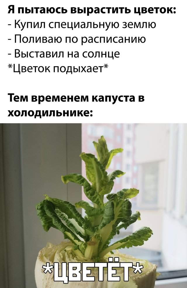 Смешные фото вечерний выпуск 6 мая 2020 Смешные фото вечерний выпуск 6 мая 2020