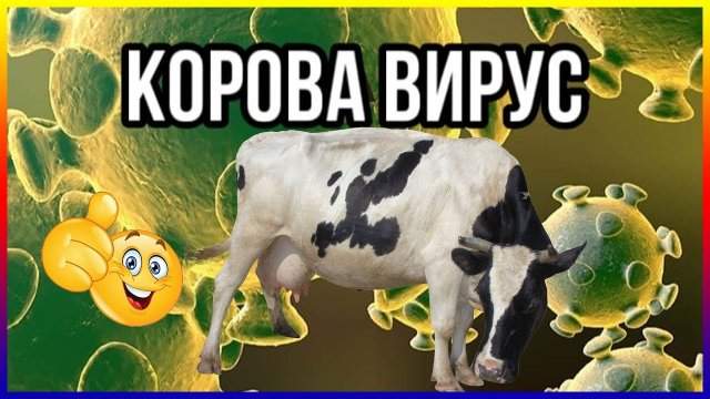 Карантиннный юмор: лучшие шутки в Сети