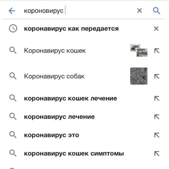 Безумные и спешные запросы, которые делают пользователи Интернета