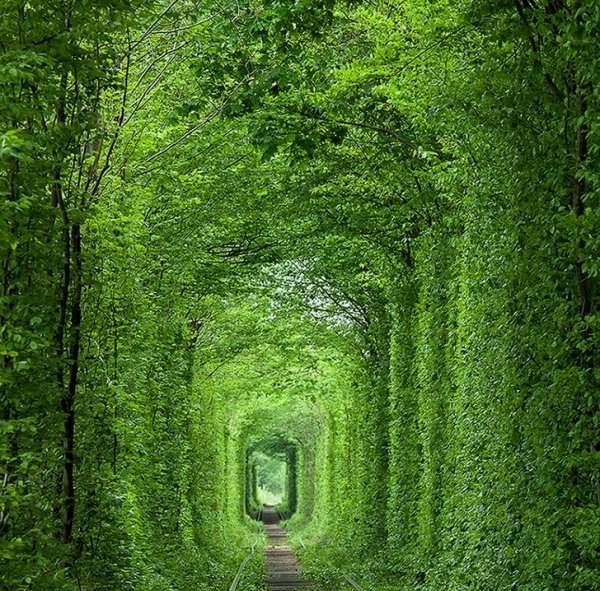 &quot;Тоннель любви&quot; в Ровенской области, Украина