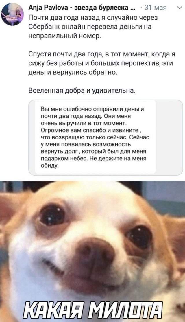 о чем шутят в Сети