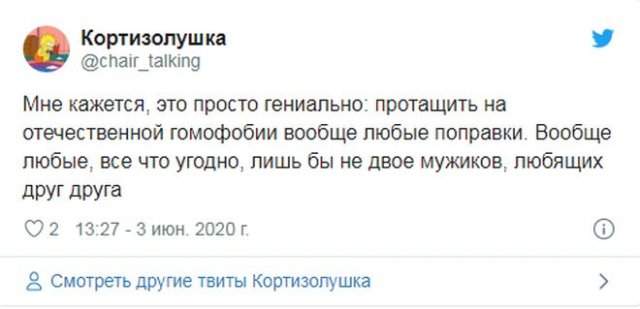 Реакция россиян на агитационный ролик про голосование за поправки в Конституции и геев