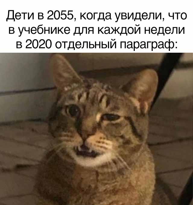 Смешные фото вечер 4 июня 2020