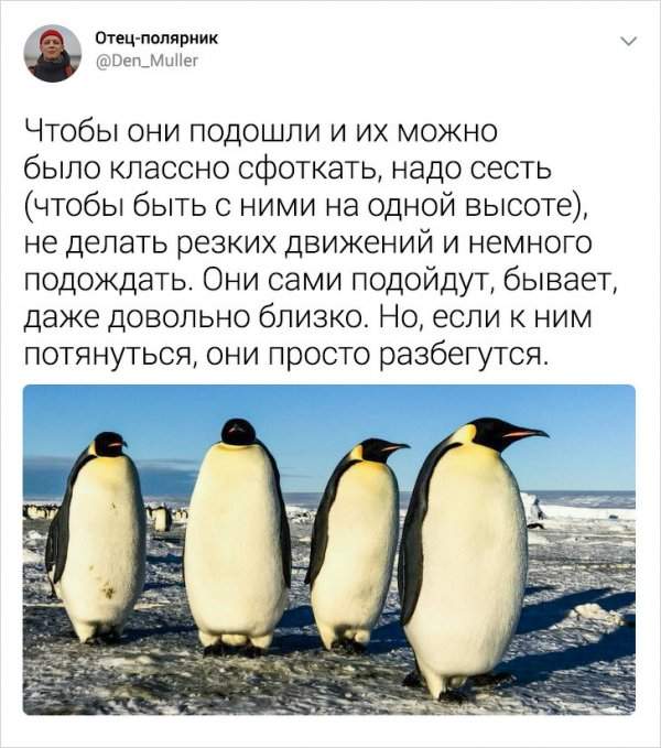 Подборка интересных твитов о жизни в Антарктиде
