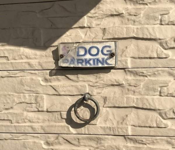 Парковка для собак у входа в магазин