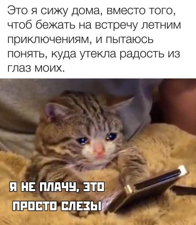 Смешные фотографии 11 июня 2020