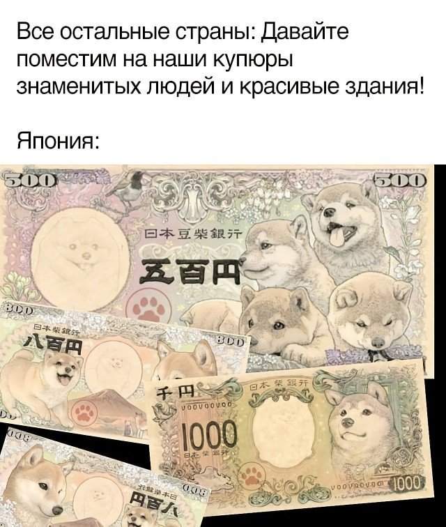 Смешные фотографии 11 июня 2020