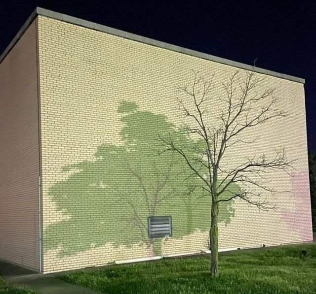 Это тень от двух разных деревьев на моей парковке