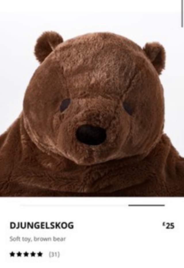 Новый хит сезона: Медведь Дьюнгельског, страдающий депрессией (10 фото)
