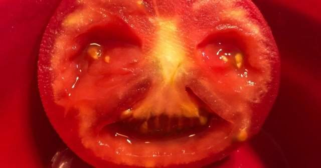 Синьор Помидор – или как приложение на телефоне приняло помидор за лицо