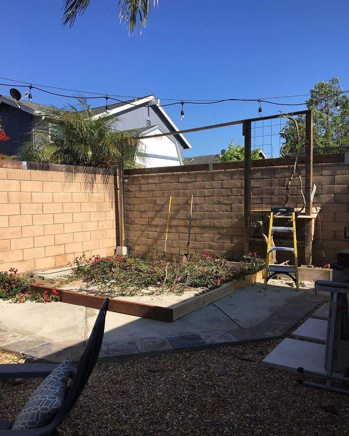 53-летний мужчина из Калифорнии построил на заднем дворе кофейню