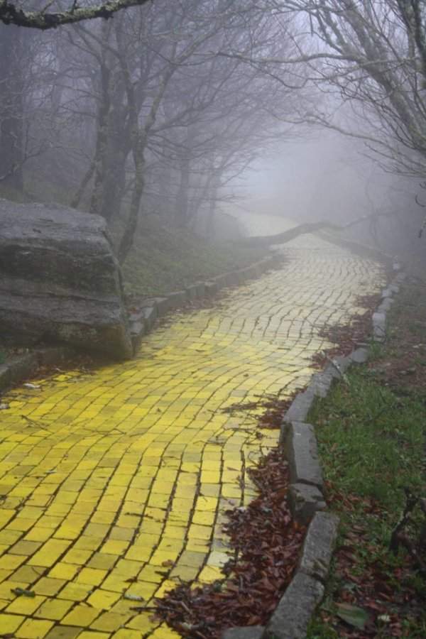 Дорога из желтого кирпича