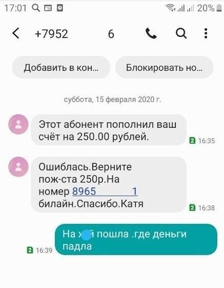 Диалоги с мошенниками в Интернете