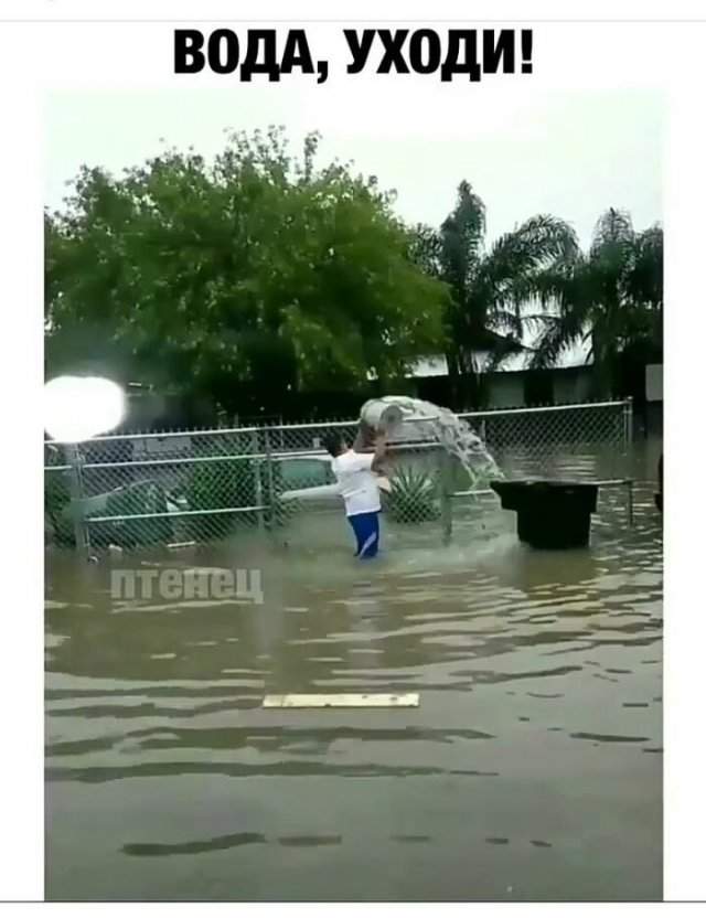 Пост о человеческой глупости